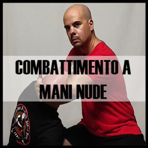 Combattimento a mani nude